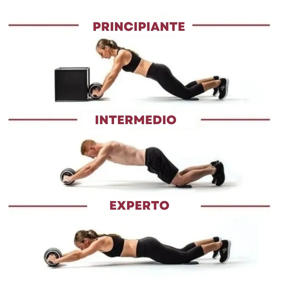 Rodillo Para Abdominales Ejercicio Y Fitness